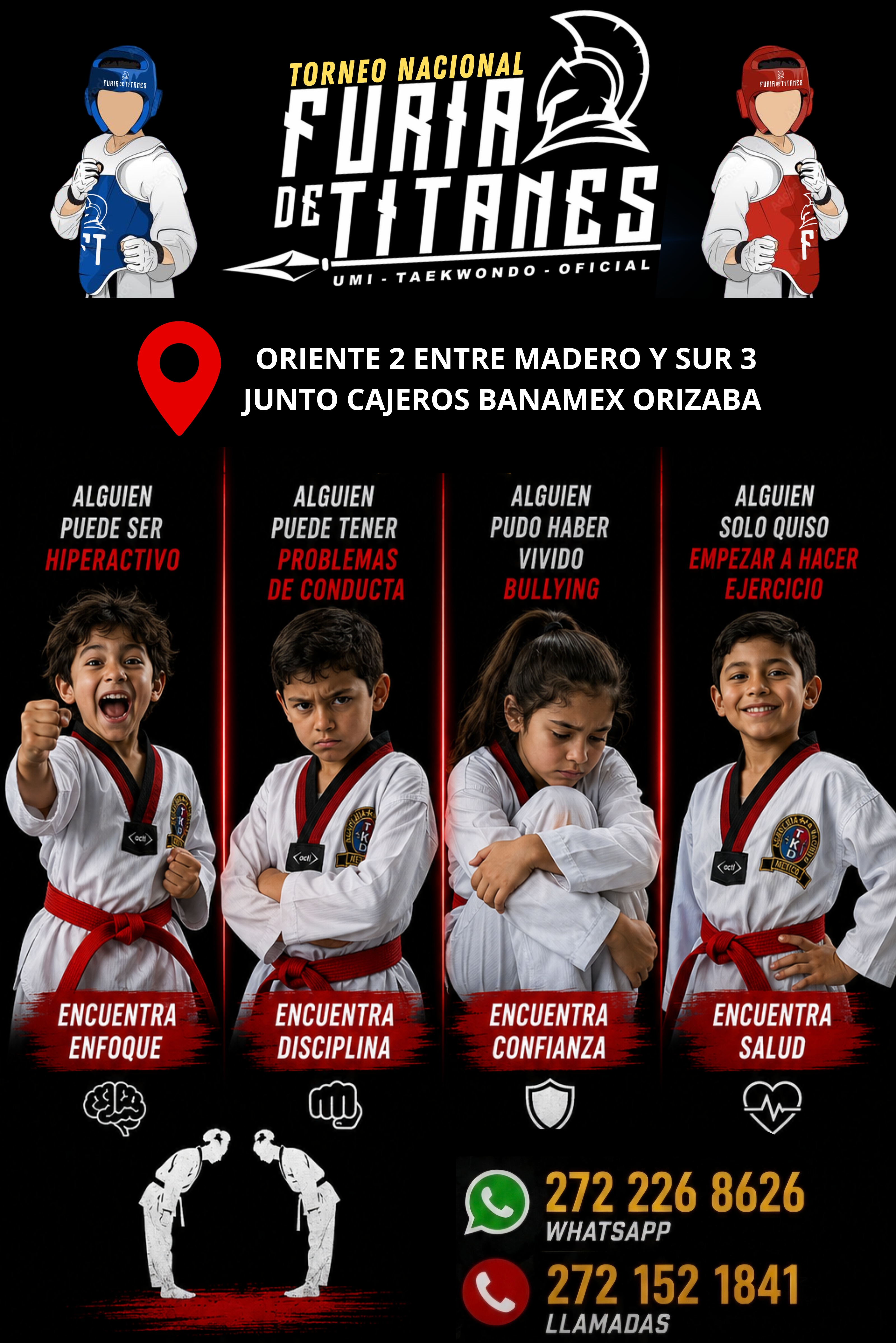 Logo FURIA DE TITANES TAEKWONDO