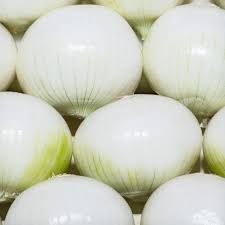 Cebolla