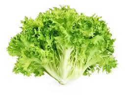 Lechuga China