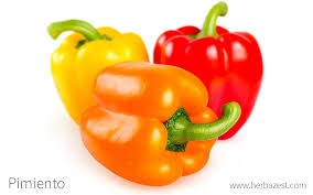 Pimiento Mrr