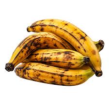 Platano Macho