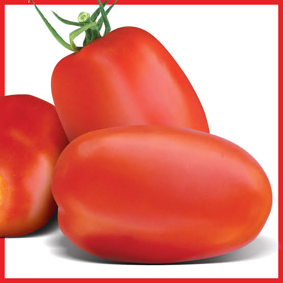 Tomate Roma